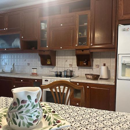 Vintage Central House Калампака Экстерьер фото